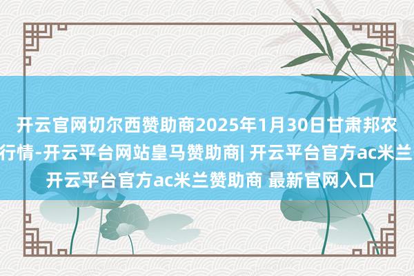 开云官网切尔西赞助商2025年1月30日甘肃邦农农居品批发商