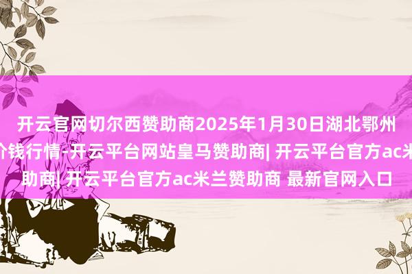 开云官网切尔西赞助商2025年1月30日湖北鄂州市蟠龙农居品