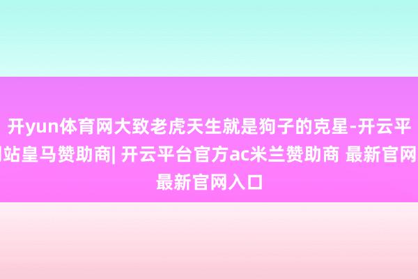 开yun体育网大致老虎天生就是狗子的克星-开云平台网站皇马赞助商| 开云平台官方ac米兰赞助商 最新官网入口