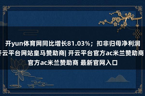 开yun体育网同比增长81.03%；扣非归母净利润24.74亿元-开云平台网站皇马赞助商| 开云平台官方ac米兰赞助商 最新官网入口