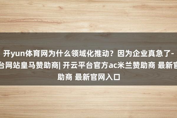 开yun体育网为什么领域化推动？因为企业真急了-开云平台网站