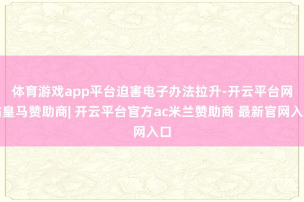 体育游戏app平台　　迫害电子办法拉升-开云平台网站皇马赞助