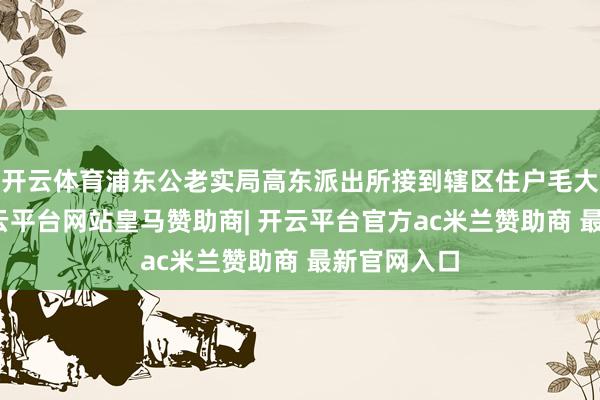 开云体育浦东公老实局高东派出所接到辖区住户毛大姨求援-开云平台网站皇马赞助商| 开云平台官方ac米兰赞助商 最新官网入口
