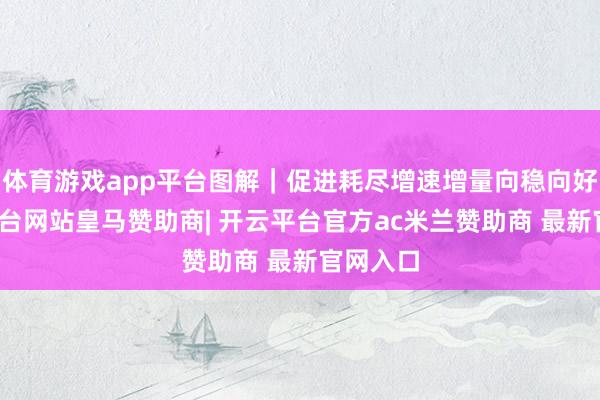 体育游戏app平台图解｜促进耗尽增速增量向稳向好-开云平台网站皇马赞助商| 开云平台官方ac米兰赞助商 最新官网入口