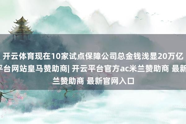 开云体育现在10家试点保障公司总金钱浅显20万亿元-开云平台网站皇马赞助商| 开云平台官方ac米兰赞助商 最新官网入口